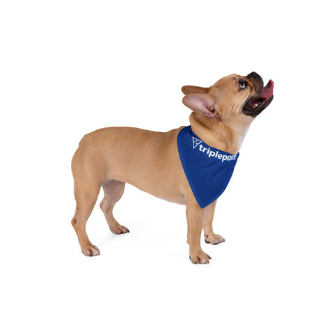 Triplepoint Pet Bandana