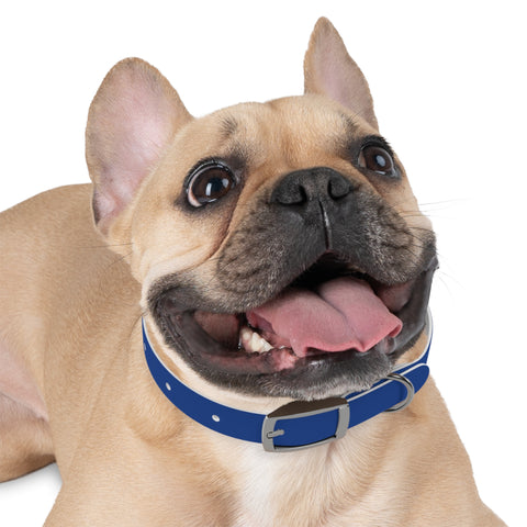 TPE Dog Collar